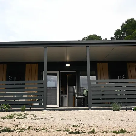 Vilma Rosa * دراغ