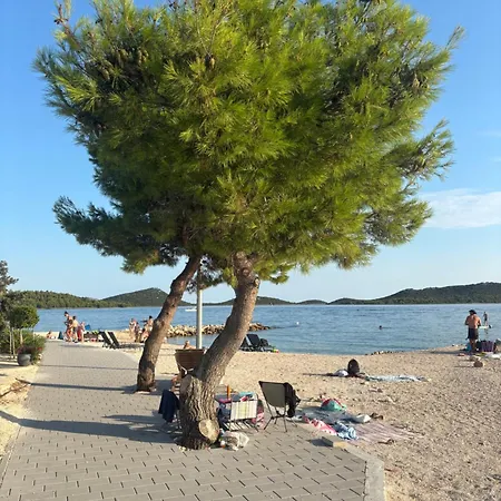 Campsite Vilma Rosa Drage