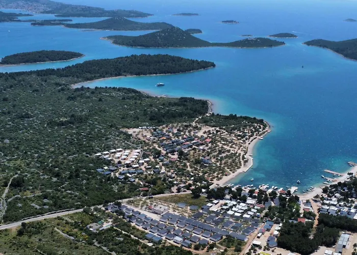 Vilma Rosa Драге