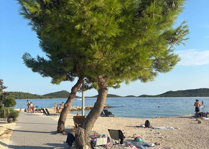 Camping Vilma Rosa Drage